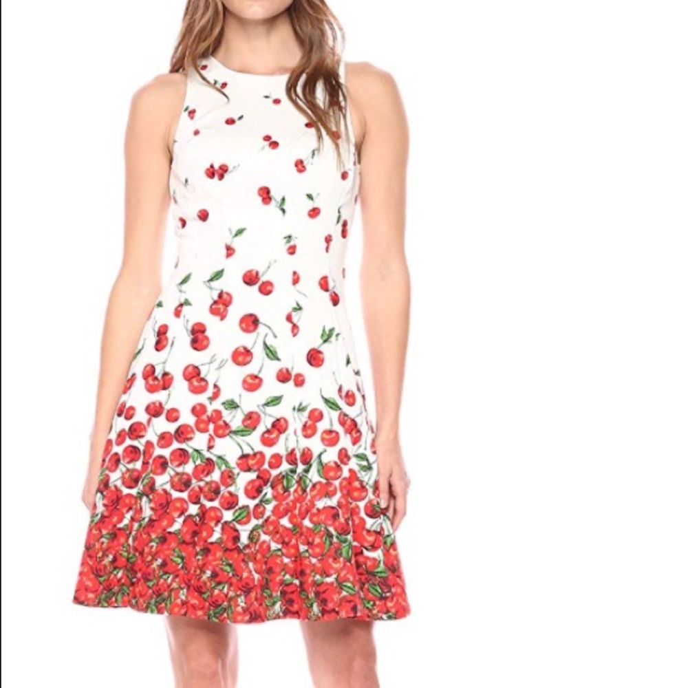 Maggy London Cherry Dress, US size 8